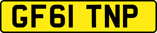 GF61TNP