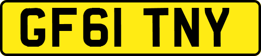 GF61TNY
