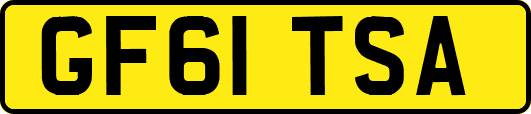GF61TSA