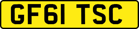 GF61TSC