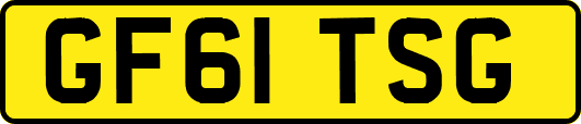 GF61TSG