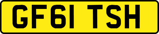 GF61TSH