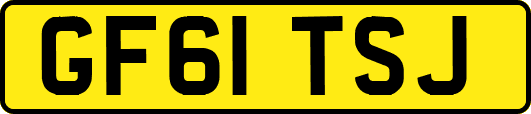 GF61TSJ