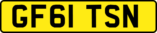 GF61TSN