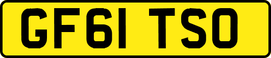 GF61TSO