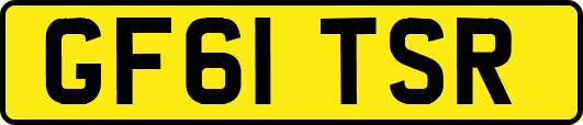 GF61TSR
