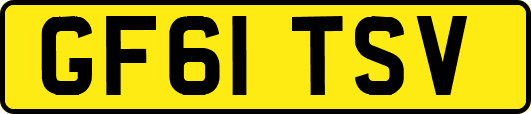 GF61TSV