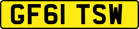 GF61TSW