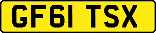 GF61TSX