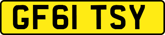 GF61TSY