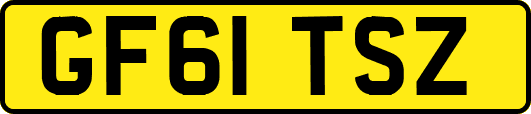 GF61TSZ