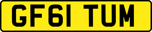 GF61TUM