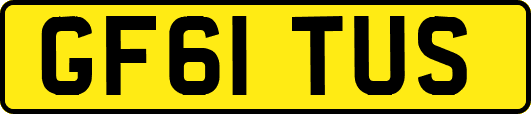 GF61TUS