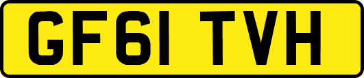 GF61TVH