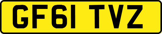 GF61TVZ