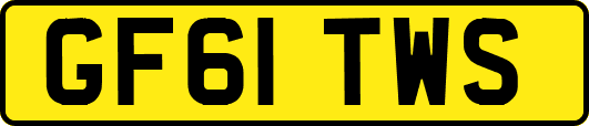 GF61TWS