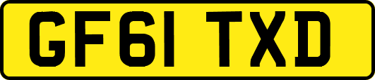 GF61TXD