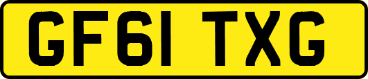 GF61TXG