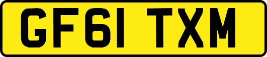 GF61TXM