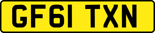 GF61TXN