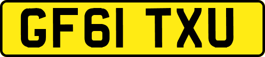 GF61TXU