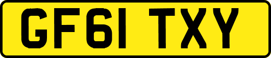 GF61TXY