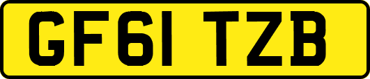 GF61TZB