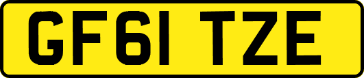 GF61TZE