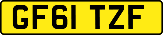 GF61TZF