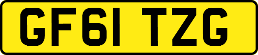 GF61TZG
