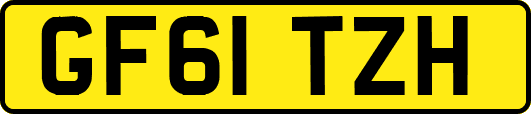 GF61TZH