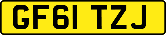 GF61TZJ