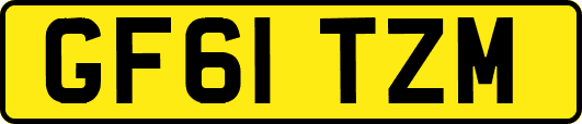 GF61TZM