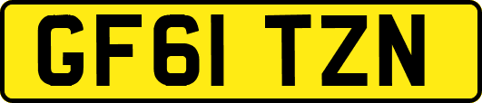 GF61TZN