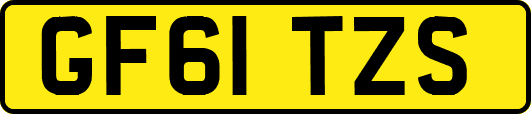 GF61TZS