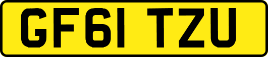 GF61TZU