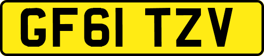 GF61TZV