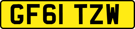 GF61TZW