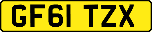 GF61TZX