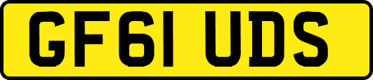GF61UDS