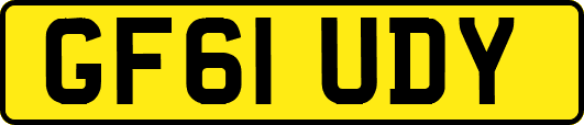GF61UDY