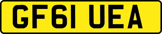 GF61UEA