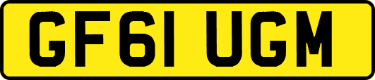 GF61UGM