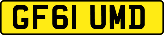 GF61UMD