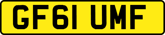 GF61UMF