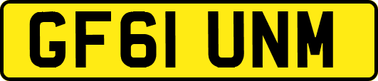 GF61UNM