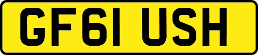 GF61USH