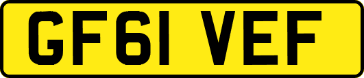 GF61VEF
