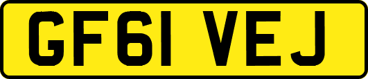 GF61VEJ