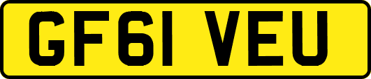 GF61VEU
